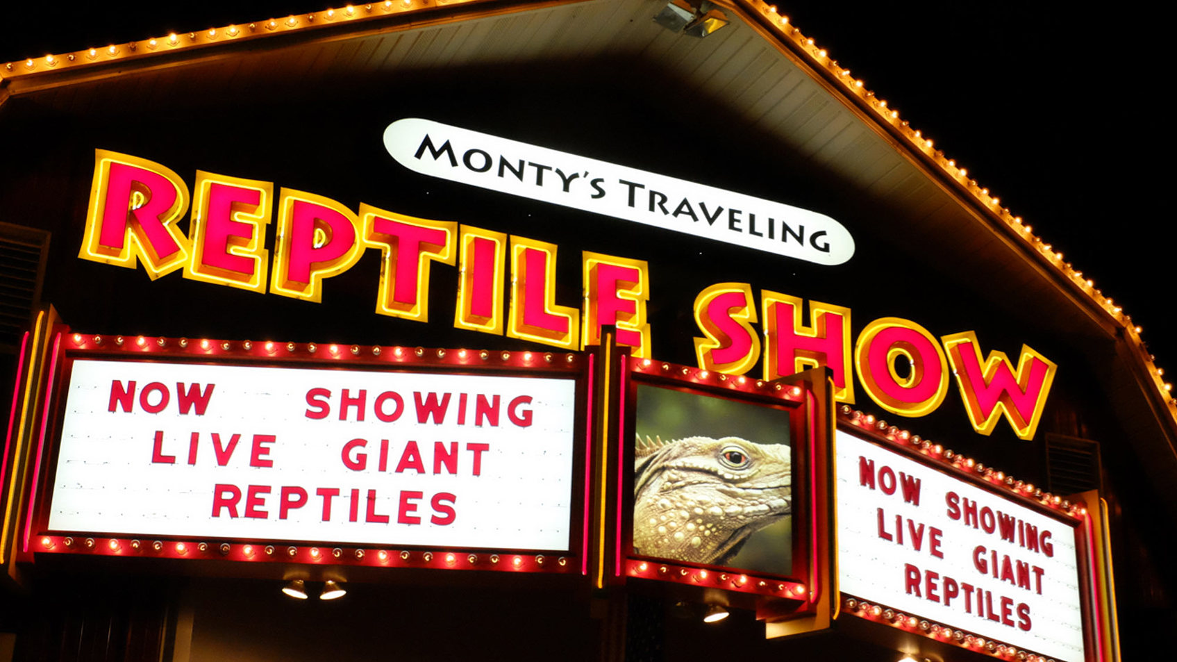 Monty’s Traveling Reptile Show Minnesota State Fair