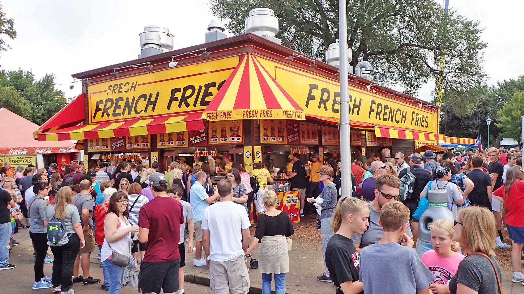 State Fair Fresh Cut French Fries - Peyton's Momma™